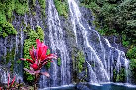 Bali: Wanagiri Hidden Hills, Waterfall, and Temples Tour